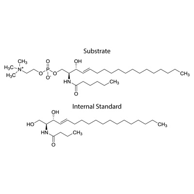 Acid sphingomyelinase Substrate and Internal Standard Mix