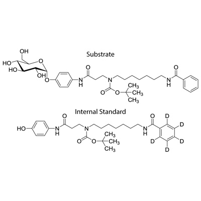 Acid α-glucosidase Substrate and Internal Standard Mix