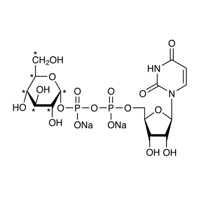 Uridine diphosphate-α-D-glucose, disodium salt (glucose-¹³C₆, 99%)
